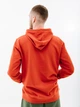 Мужское Худи HELLY HANSEN NORD GRAPHIC PULL OVER HOODIE Оранжевый L (7d62975-308 L) - изображение 2