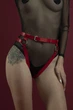 Гартеры Feral Feelings - Belt Briefs, трусики, натуральная кожа, цвет красный - изображение 1