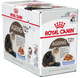 Mokra karma dla starszych kotów Royal Canin Ageing 12+ Smak mięsa 12 x 85 g (9003579311813) - obraz 2