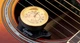 Увлажнитель для гитары Guitto GHD-01 Guitar Humidifier с влагомером (R127926) - изображение 2