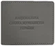 Шкіряна обкладинка для посвідчення журналіста BlankNote Сіра (BN-OP-18-shadow) - зображення 1