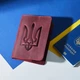 Кожаная обложка для паспорта INCARNE с тиснением Тризуба Бордовая - изображение 3