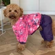 Дощовик Dogsbomba Париж M-91 розмір 4 (2000000046273) - изображение 1