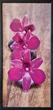 Фотокартина в дерев'яній рамі Orchid 5 33х70 см POS-3370-219 - зображення 1