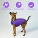 Курточка-накидка для собак Airy Vest, XXS, B 29-36 см, С 14-20 см, Фиолетовая (15409Collar) - изображение 6
