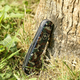 Ніж Victorinox Spartan Camouflage 1.3603.94 - зображення 8