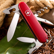 Ніж Victorinox Tourist Red 0.3603 - зображення 11