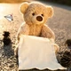 Іграшка дитяча Ведмедик Peekaboo Brown Bear (інтерактивна ) - зображення 8