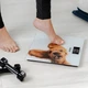 Весы напольные Zelmer ZBS1010 Crazy dog - изображение 5