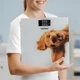 Весы напольные Zelmer ZBS1010 Crazy dog - изображение 9
