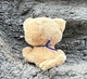Дитяча м'яка іграшка Котик із зірками Can Fa Toys плюшевий какао 20 см 255226693 - зображення 4