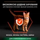 Сухой корм для кошек PRO PLAN Sterilised с лососем и рисом 400г - изображение 2