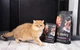 Сухой корм Savory Adult Cat для кастрированных котов с свежим мясом ягненка и курицей 8 кг - изображение 4