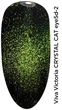 Гель-лак Viva Victoria CRYSTAL CAT EYE 5D №2 (15 мл) - зображення 2
