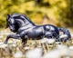 Sjoerd traditional фризький жеребець Breyer 1859 - изображение 5