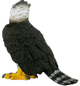 Фігурка Schleich Wild Life Harpy Eagle 6.2 см (4059433540443) - зображення 2