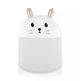 Увлажнитель воздуха и ночник Котик 2в1 Humidifiers с подсведкой Белый (7712SH734) - изображение 1