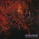 CARNAGE – Dark Recollections (LP, EU) - изображение 1