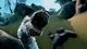 Ключ активации Skull Island: Rise of Kong - Colossal Edition для Xbox One/Series S/X - изображение 6