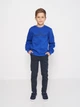 Детские штаны-чиносы для мальчика Minoti 15pant 1 39569JNR 98-104 см Синие (5063025178784) - изображение 3