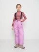 Подростковый зимний лыжный полукомбинезон Lemon Outerwear Snow&Ski Girl ZL3119203OSG-016 164 см Фиолетовый (5904986204474) - изображение 1