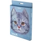 Підставка для книг Kite Cat металева, блакитна (K24-390-3) - зображення 4