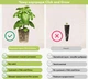 Сменный картридж Click&Grow Зеленый лук 3 шт (4742793007540) - изображение 4