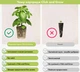 Сменный картридж Click&Grow Зеленый салат 3 шт (4742793007731) - изображение 4