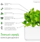 Сменный картридж Click&Grow Зеленый салат 3 шт (4742793007731) - изображение 6