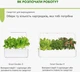 Сменный картридж Click&Grow Зеленый салат 3 шт (4742793007731) - изображение 8