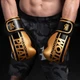 Боксерські рукавички Phantom APEX Elastic Gold 14oz (PHBG2215-14) - зображення 6