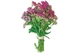 Тысячелистник Вишневая Королева Leda Agro 0,1 г - изображение 2