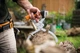 Захоплення для колод Fiskars WoodXpert 303 мм (6411501260314) - зображення 4