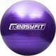 Мяч для фитнеса гимнастический, фитбол для беременных EasyFit EF-3008-V 75 см Фиолетовый (56001842) - изображение 1
