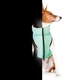 Курточка для животных Airy Vest Lumi двусторонняя L 55 мятно-оранжевая (2293) - изображение 6
