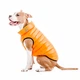 Курточка для животных Airy Vest двусторонняя S 30 оранжево-салатовая (1609) - изображение 8