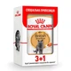 Вологий корм для дорослих кішок Royal Canin BRITISH SHORTHAIR ADULT (Роял Канін) 4 шт по 85 гр - зображення 1
