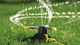 Зрошувач KARCHER 2.645-019.0 крутний RS 130/3 - зображення 2