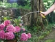 Шланг Karcher Performance plus 2.645-320.0 - изображение 2