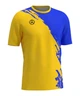 Волейбольная футболка мужская RIGO CHAMPION Yellow-Blue XL - изображение 1