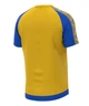 Волейбольная футболка мужская RIGO ADAMANT Yellow-Blue L - изображение 3