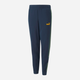 Підліткові теплі спортивні штани для хлопчика Puma ESS Block Sweatpants FL B 84908373 146-152 см Сині (4064537924969) - зображення 1