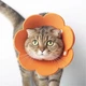 Воротник-ошейник "для заживления ран" для собак и кошек Orange Flower Size S - изображение 1
