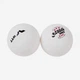 Мячики DHS ITTF WTT Ball 40+ 3* - изображение 3