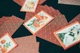 Настольная игра Koi-Koi. Hanafuda (Кой-Кой, Ханафуда) - изображение 6