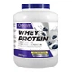 Протеин OstroVit Whey Protein 2000 g /66 servings/ Blueberry Joghurt - изображение 1