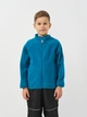 Детская флисовая теплая толстовка Lemon Outerwear Snow&Ski Boy ZL3132502OSB-015 128 см Синяя (5904986287637) - изображение 1
