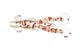 Силиконовая нимфа для микроджига Fox 5см Cricket #106 (clear silver red) (съедобная, 15шт) - изображение 2
