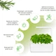 Гидропонная установка Click&Grow Белая (7205 SG3) - изображение 4