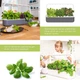 Стартовый набор Click&Grow SG9 Серый (4742793008899) - изображение 9